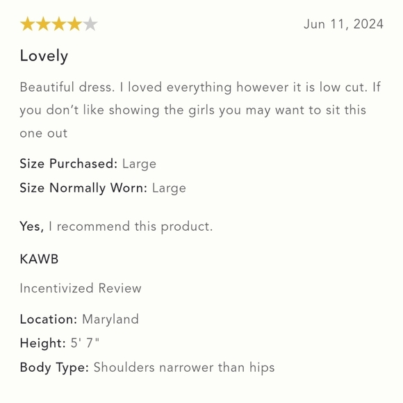 NWT ANTHROPOLOGIE | Pilcro Seamed V-Neck Mesh Dress - Picture 7 of 7